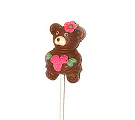 Chocolate--Teddy