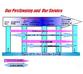Our Service and Position