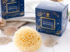 [NOViCE] Natural Sea Sponge