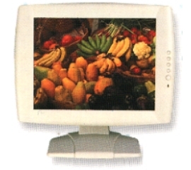 15”TFT LCD Display