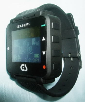 Paging Data Receiver (Watch Type)