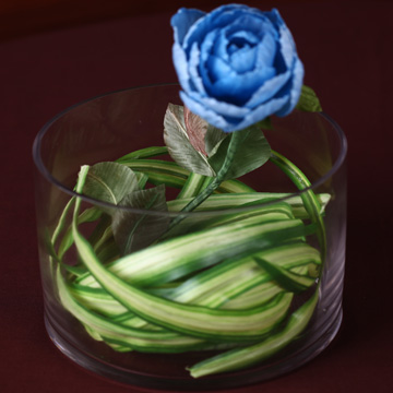 On miniature table potted flower: Hundred page of rose