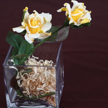 On stereometric formula clear glass table potted flower: Pretty rose