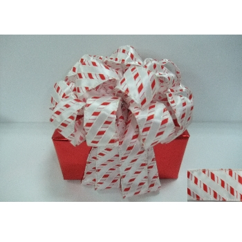 Decorative Bow/Ribbon (Candy Can)