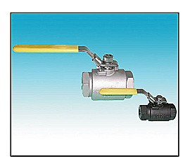 Two-Piece Screwed Ends Ball Valve 3000/6000PSI