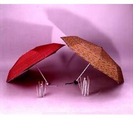 Umbrella and Rib