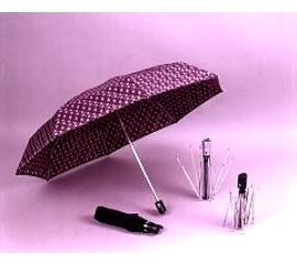 Umbrella and Rib