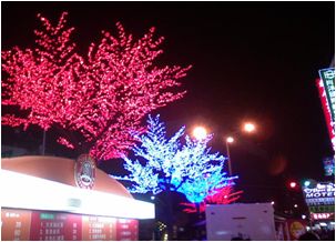 Cherry tree lights