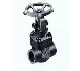 FORGED STAINLESS STEEL GATE VALVE