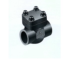 FORGED STAINLESS STEEL CHECK VALVE