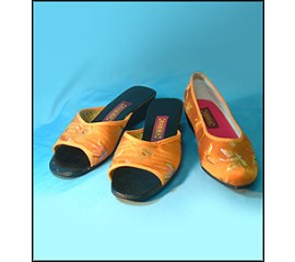 Oriental Beauty Shoes