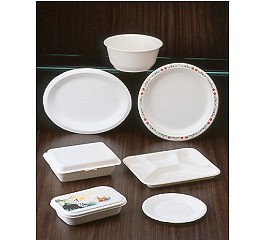 Disposable Dinner Set (made from wheat stem)