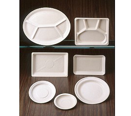Disposable Dinner Set (made from wheat stem)