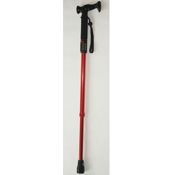 Traditions Walking Stick