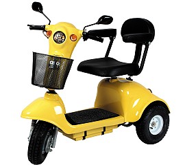 Electric Leisure Scooter