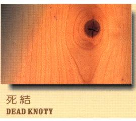 DEAD KNOTY