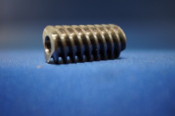 Worm Gear for Reducer