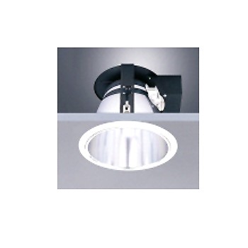 Compact Fluorescent lamp downlight
