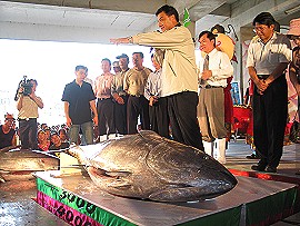 Auction of The First Blue Fin Tuna