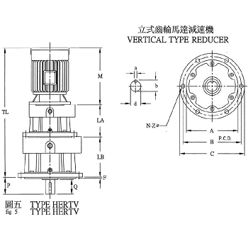 VERTICAL TYPE REDUCER